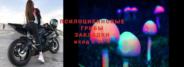 Альфа ПВП Богородицк