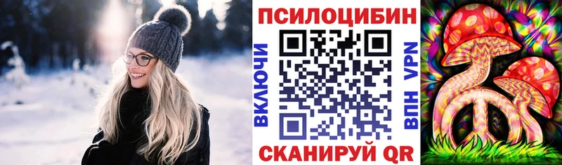 Псилоцибиновые грибы мицелий блэк спрут ссылки Ковылкино дарнет шоп